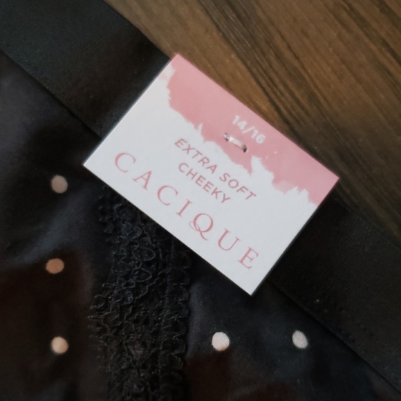 NWT Cacique Plus Size Cheeky Undies Bundle - Picture 4 of 5
